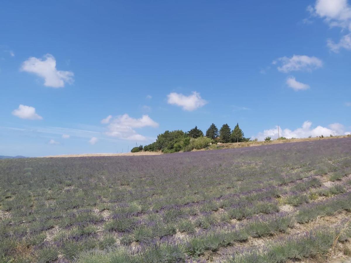 Agriturismo Mandriato 圣塔·卢斯 外观 照片