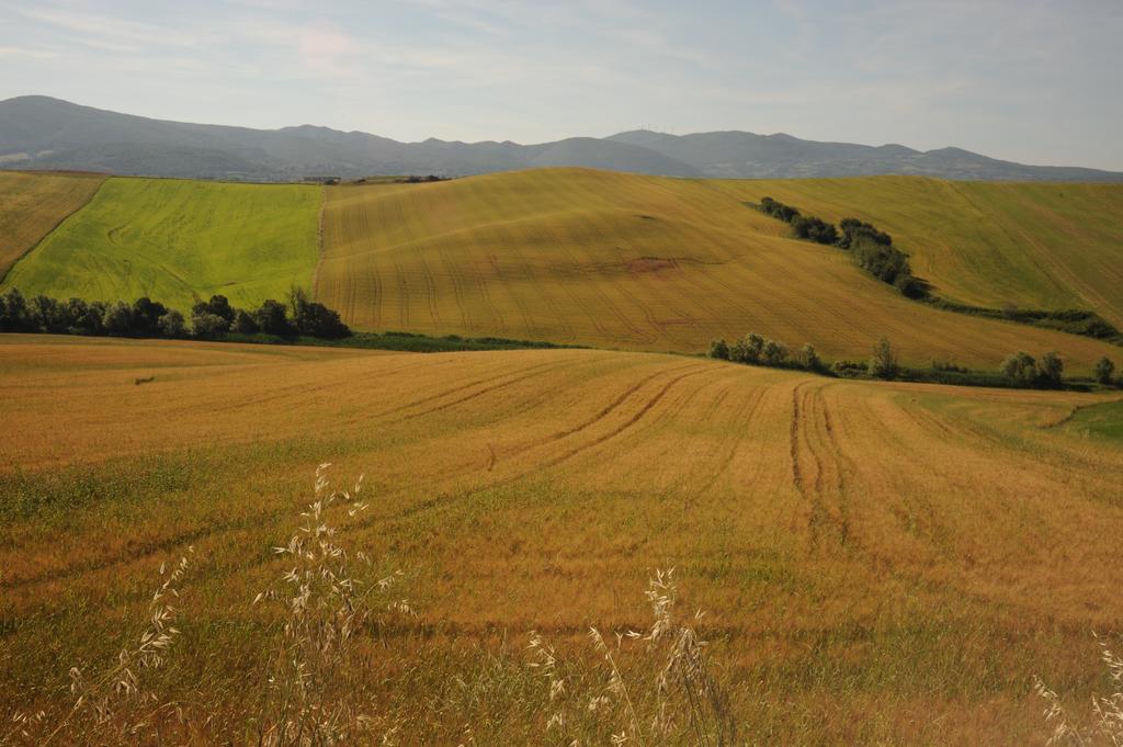 Agriturismo Mandriato 圣塔·卢斯 外观 照片